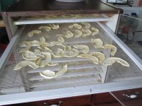 IMG_3841.JPG IMG_3841.JPG