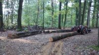 IMG_20161008_155340246.jpg