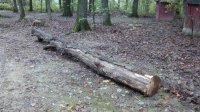 IMG_20161008_155238057.jpg