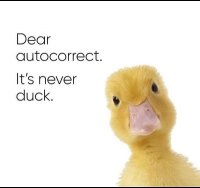 not duck.jpg