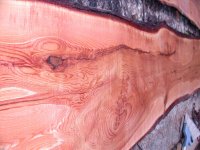 Incense Cedar Slabs 1.JPG