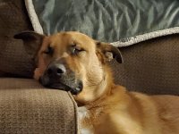 20230102_203608.jpg