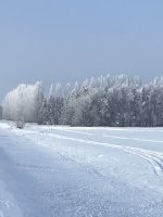 C249C237-4E01-49AA-850C-E4996CB2C7CE.jpeg