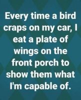 bird crap on car.jpg