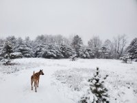 20230107_073926.jpg