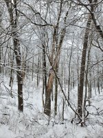 20230107_100213.jpg