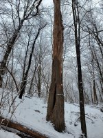 20230107_100252.jpg