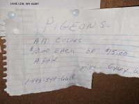 PXL_20230108_171852831.jpg