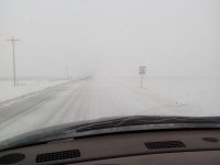 IMG_20230111_131415.jpg