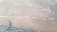 20230112_083219.jpg