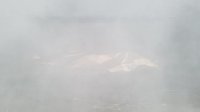 20230112_083213.jpg
