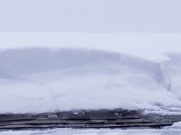 20230113_073910[1].jpg