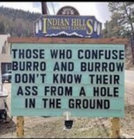 Burro and Burrow.jpg