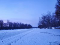 20230115_071250.jpg