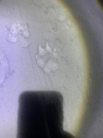 EDAF8014-E0AA-45AF-B704-BC232AD1EA27.jpeg
