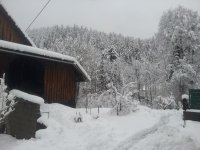 20230119_160141.jpg