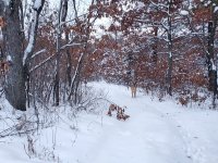 20230121_073825.jpg