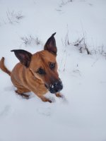 20230121_074335.jpg