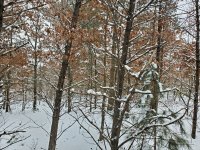 20230121_124707.jpg