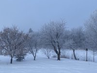 E2A4CBBB-1997-4F26-94EA-7EC78C8D8269.jpeg