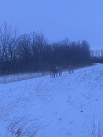 6BE911F1-5A69-4717-BB22-670377F7DE36.jpeg