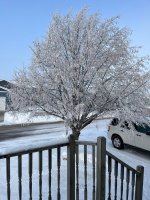 IMG_1940.jpg