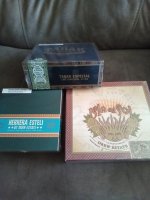 IMG_20230113_130802_217.jpg IMG_20230113_130802_217.jpg