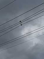 20230124_173618.jpg