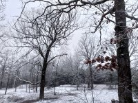 IMG_20230124_171020.jpg