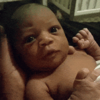 D36E30D9-D9AE-421D-8F22-EB0A69CCEB90.gif