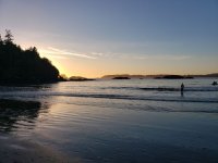 tofino.jpg