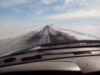 IMG_20230203_132703.jpg