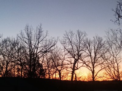 IMG_20230213_063215.jpg