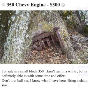 2-weird-craigslist-1567186941688.jpg