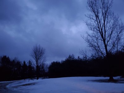 20230215_063309.jpg