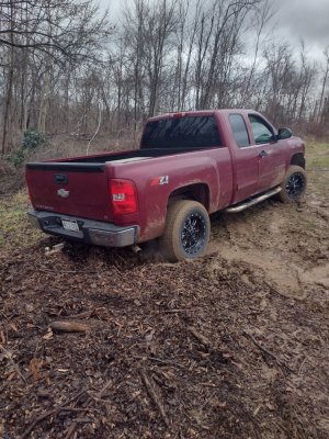 IMG_20230217_113213294_HDR.jpg