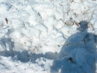 DSCN6189.JPG