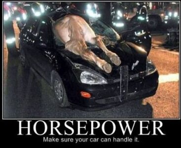 Horse_Power~2.jpg