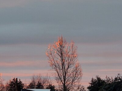 20230301_063939.jpg