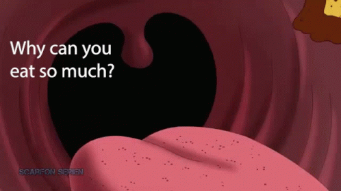 C9DFD72E-F301-4C4D-91A2-F99A2B6E7DE9.gif