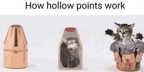 How_Hollow_Points_Work8122~2.jpg