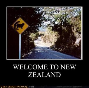 welcome-to-new-zealand.jpeg