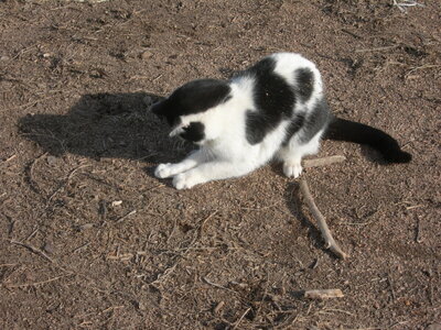 DSCN6366.JPG