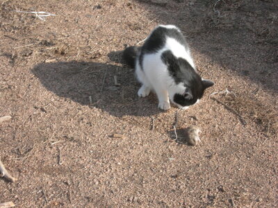 DSCN6367.JPG