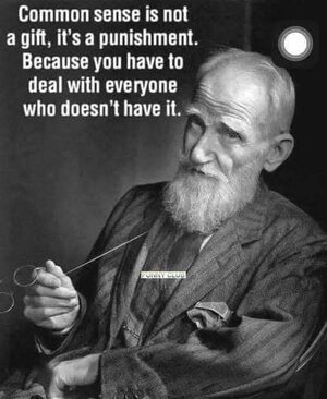 FB_IMG_1678978352135.jpg