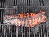 rib 002.JPG