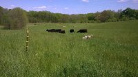 WP_20160516_001.jpg WP_20160516_001.jpg