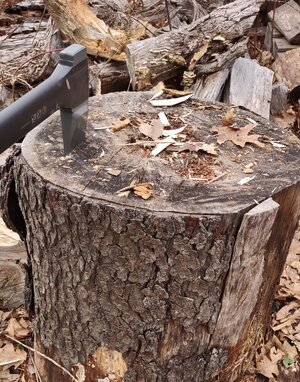 Chopping block.jpg