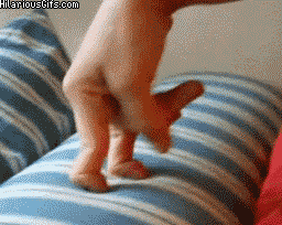 upload_2022-8-14_20-30-35(1).gif