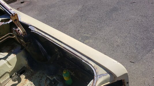 20230410_132928.jpg